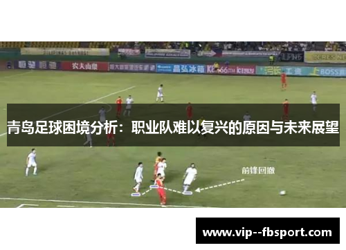 青岛足球困境分析:职业队难以复兴的原因与未来展望 青岛足球困境分析:职业队难以复兴的原因与未来展望