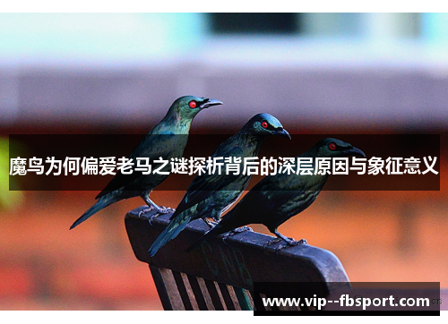 魔鸟为何偏爱老马之谜探析背后的深层原因与象征意义