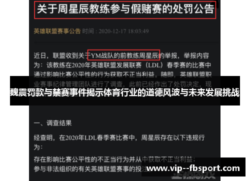 魏震罚款与禁赛事件揭示体育行业的道德风波与未来发展挑战